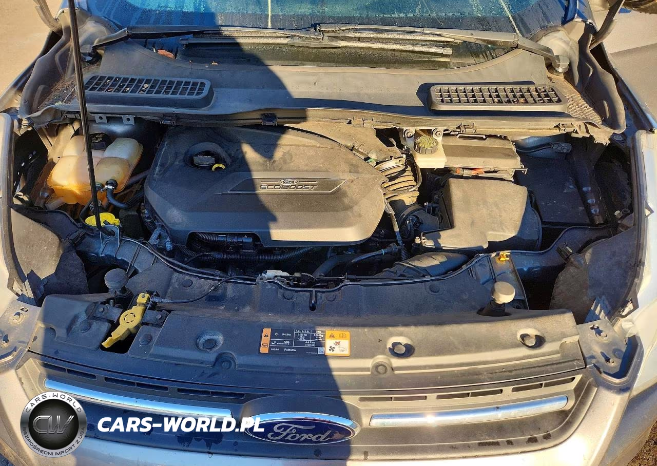 2014 Ford Escape Se VIN:1FMCU9GX4EUD97894 - 12