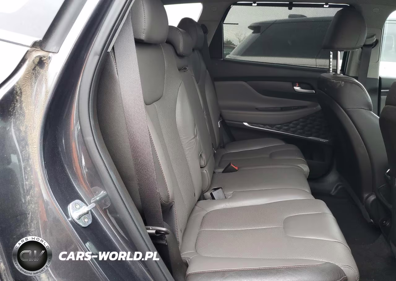 2020 Hyundai Santa Fe Sel VIN:5NMS3CAD8LH265160 - 10