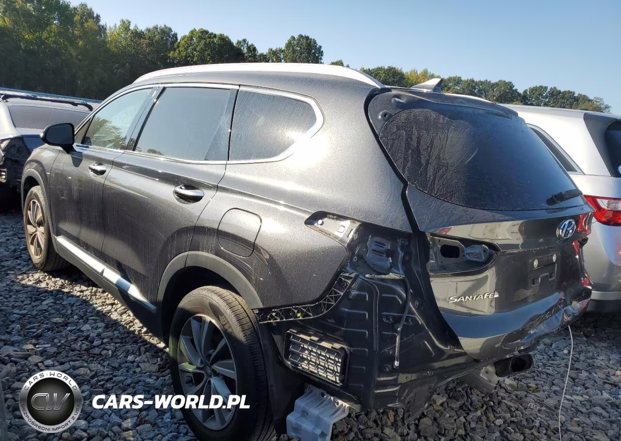 2020 Hyundai Santa Fe Sel VIN:5NMS3CAD8LH265160 - 2