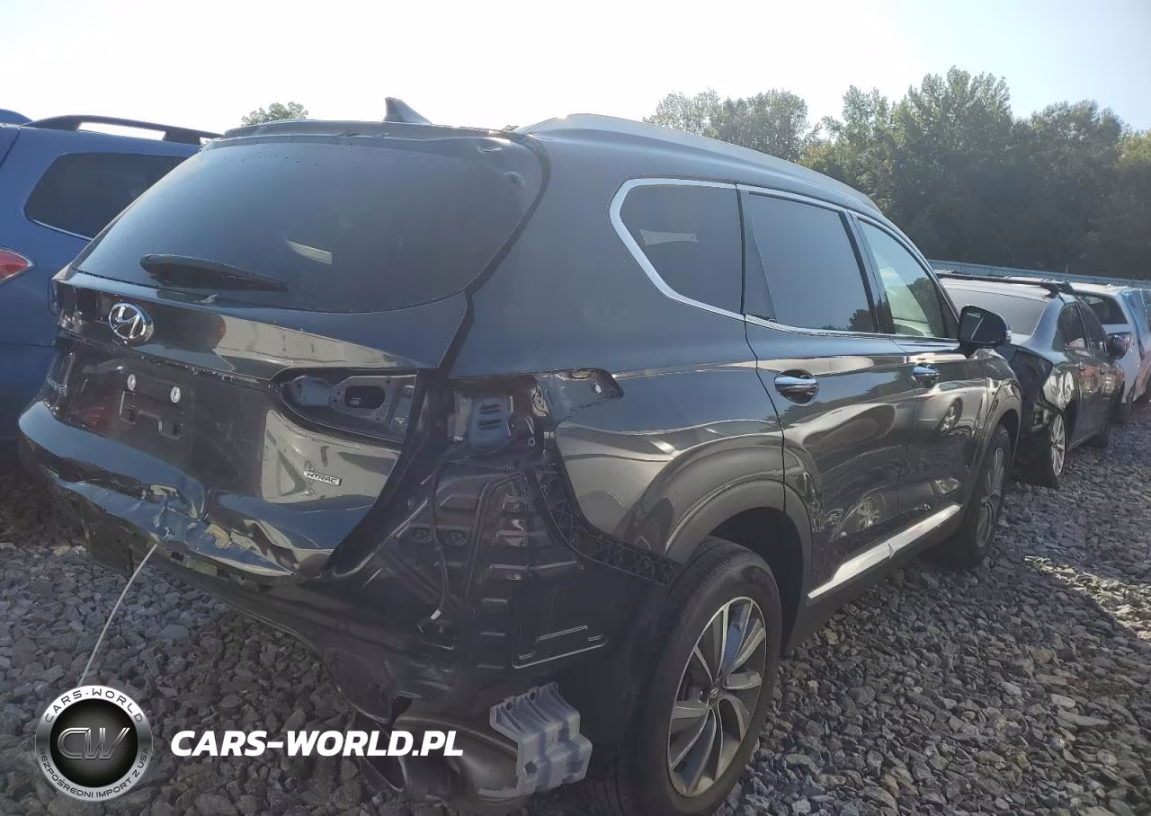 2020 Hyundai Santa Fe Sel VIN:5NMS3CAD8LH265160 - 3