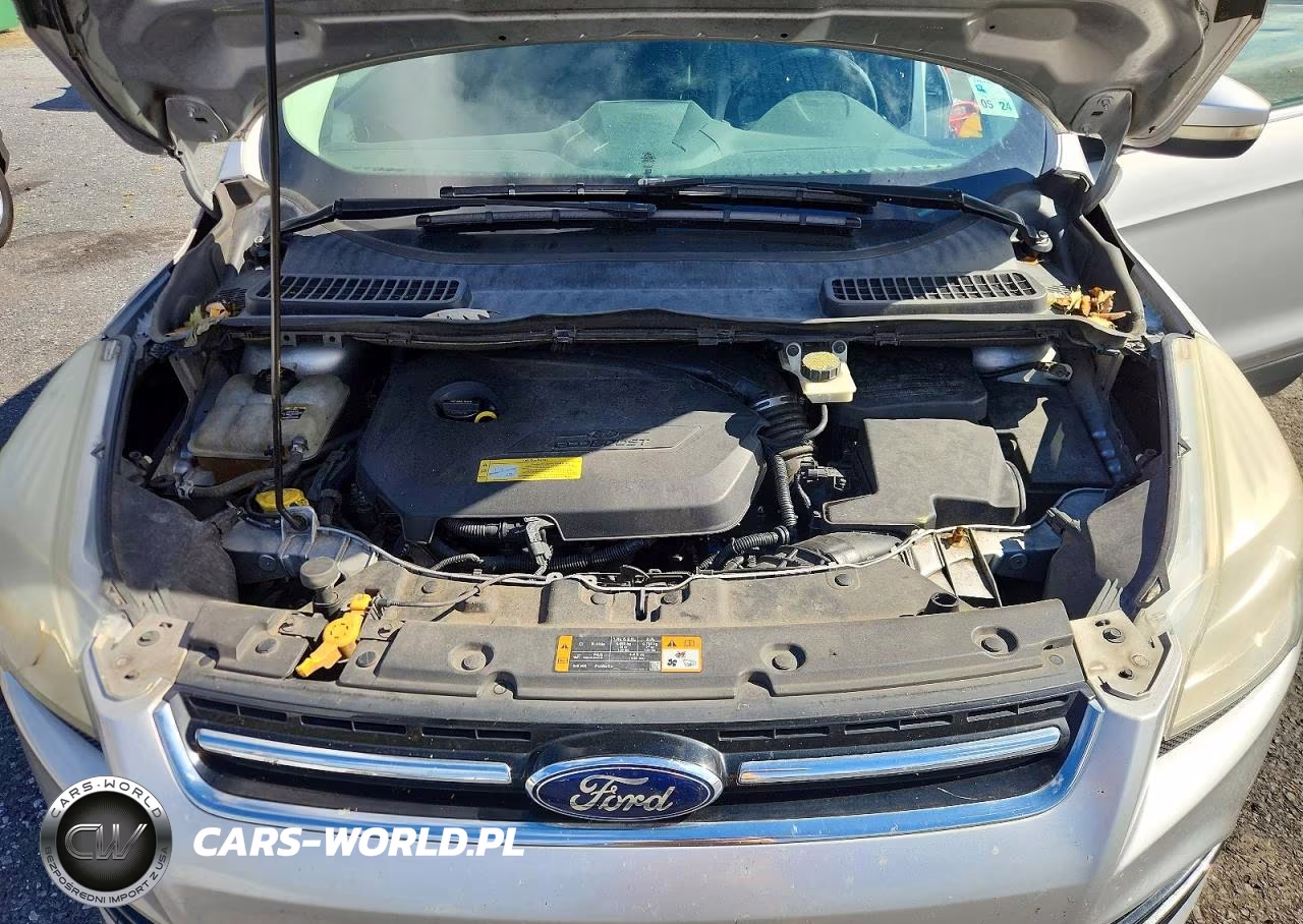 2013 Ford Escape Sel VIN:1FMCU0HX3DUB90616 - 12