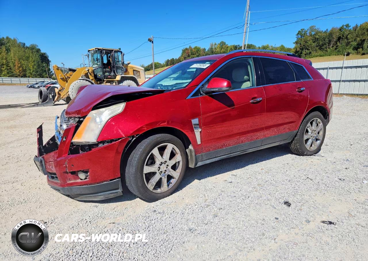 2010 Cadillac Srx Premium Collection VIN:3GYFNCEY1AS525116 - 1