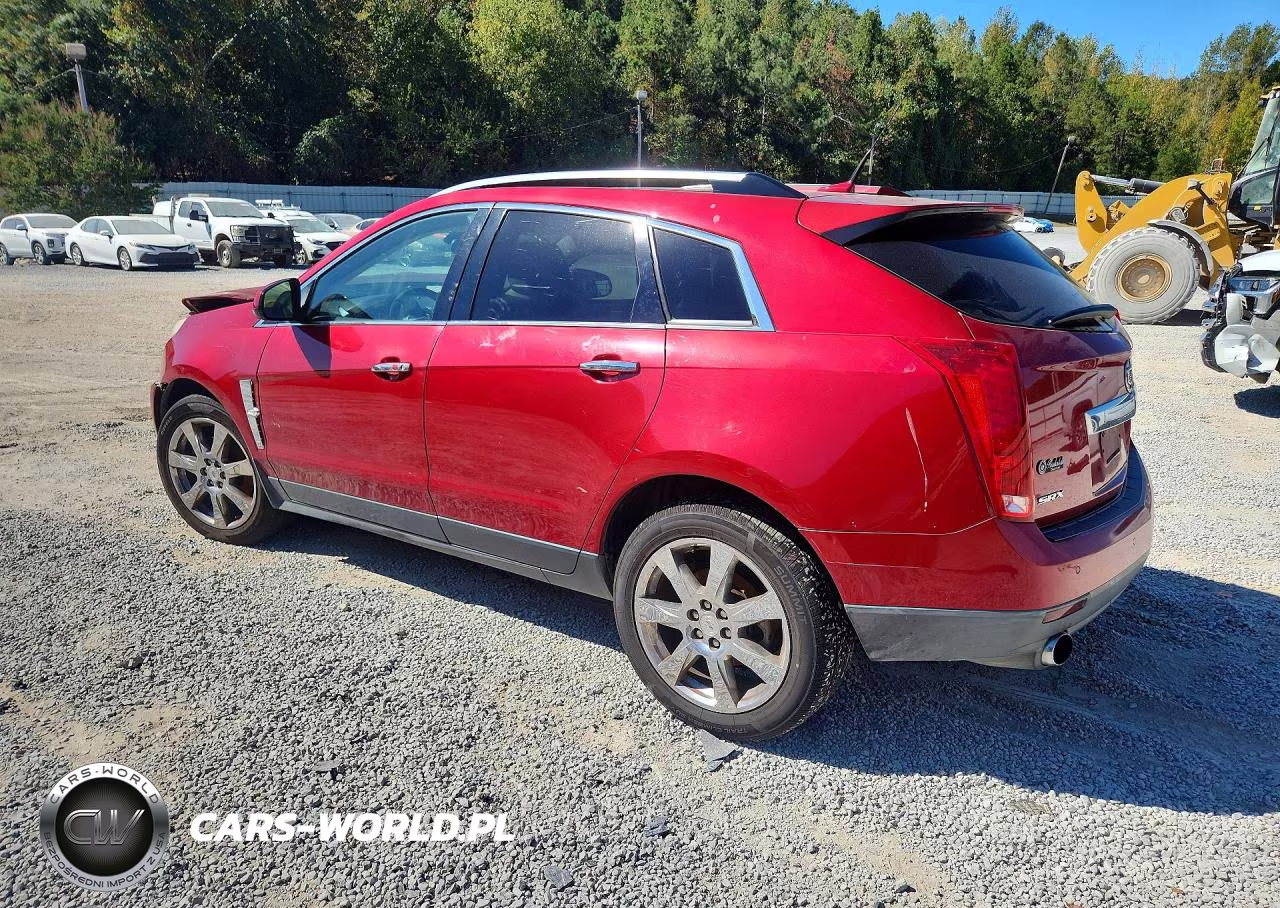 2010 Cadillac Srx Premium Collection VIN:3GYFNCEY1AS525116 - 2