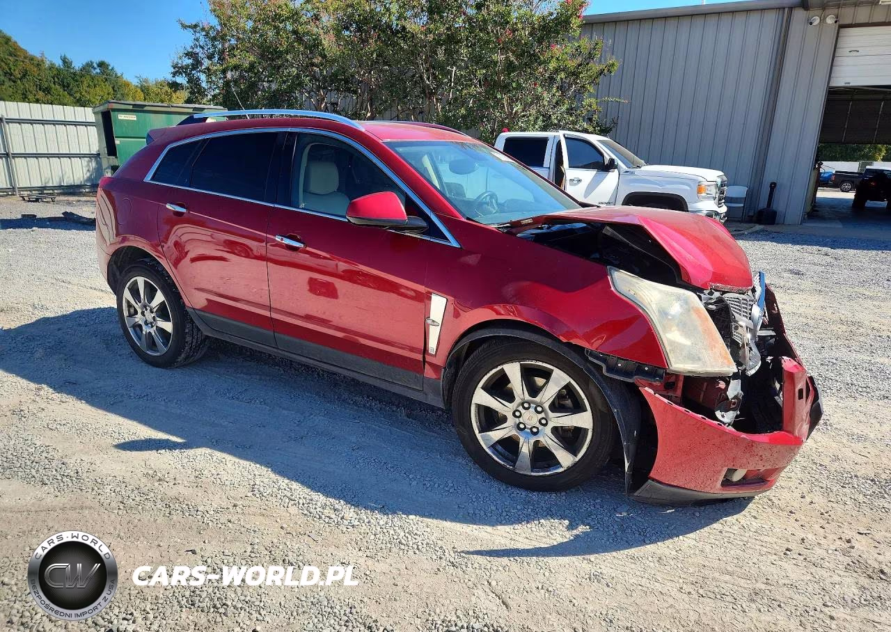 2010 Cadillac Srx Premium Collection VIN:3GYFNCEY1AS525116 - 4