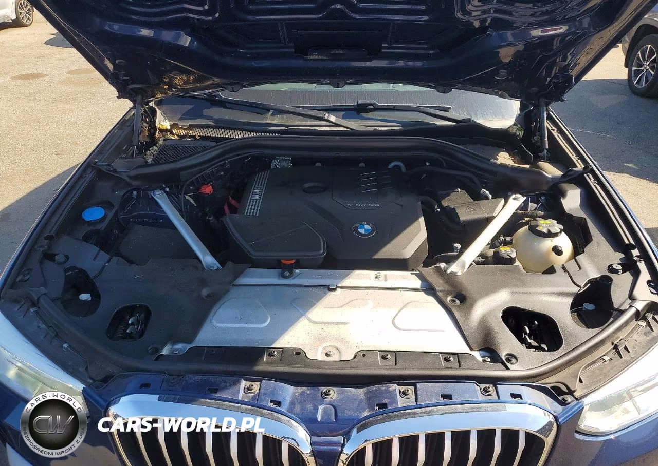 2021 BMW X3 xDrive30I VIN:5UXTY5C07M9G45925 - 12