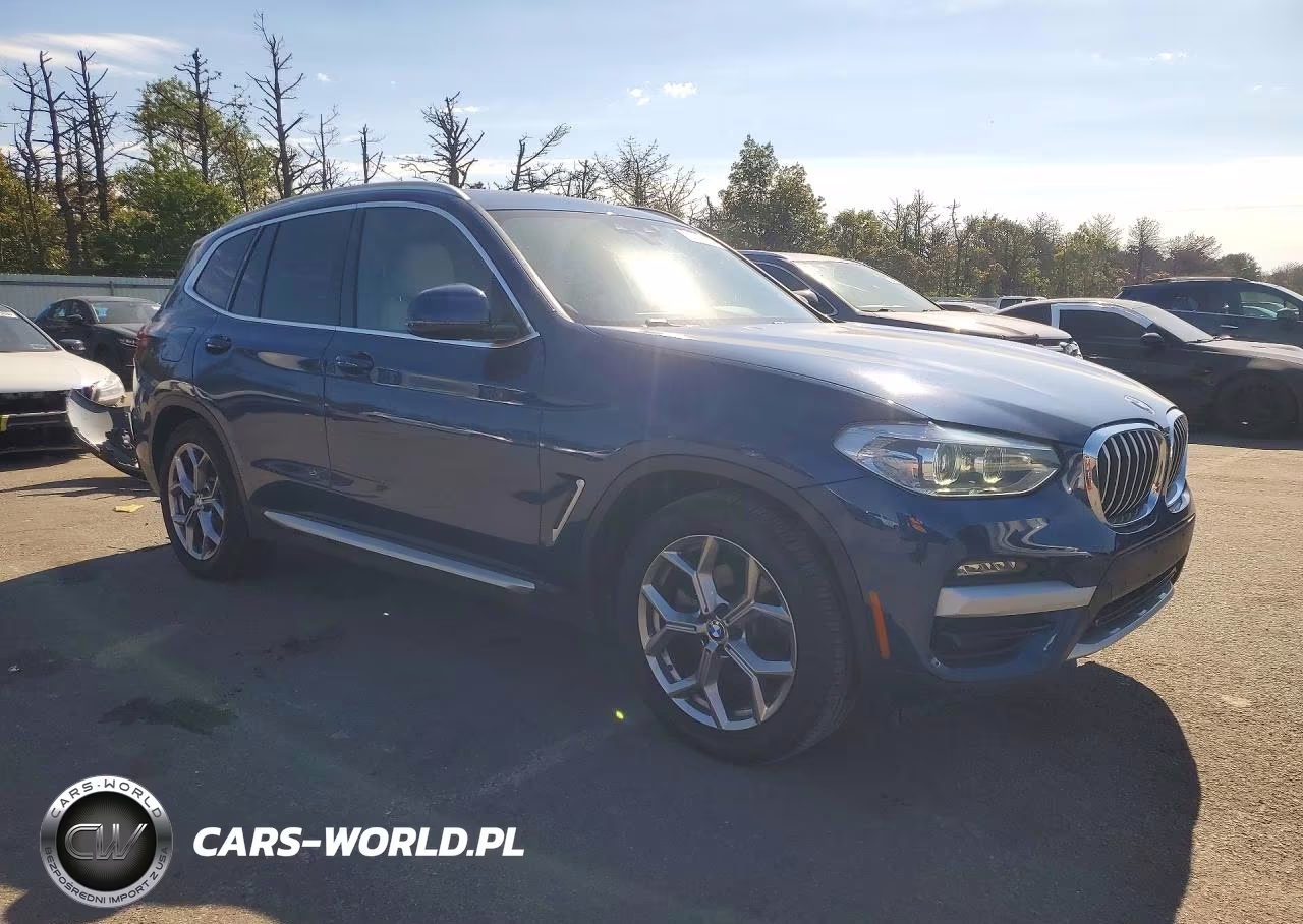 2021 BMW X3 xDrive30I VIN:5UXTY5C07M9G45925 - 4