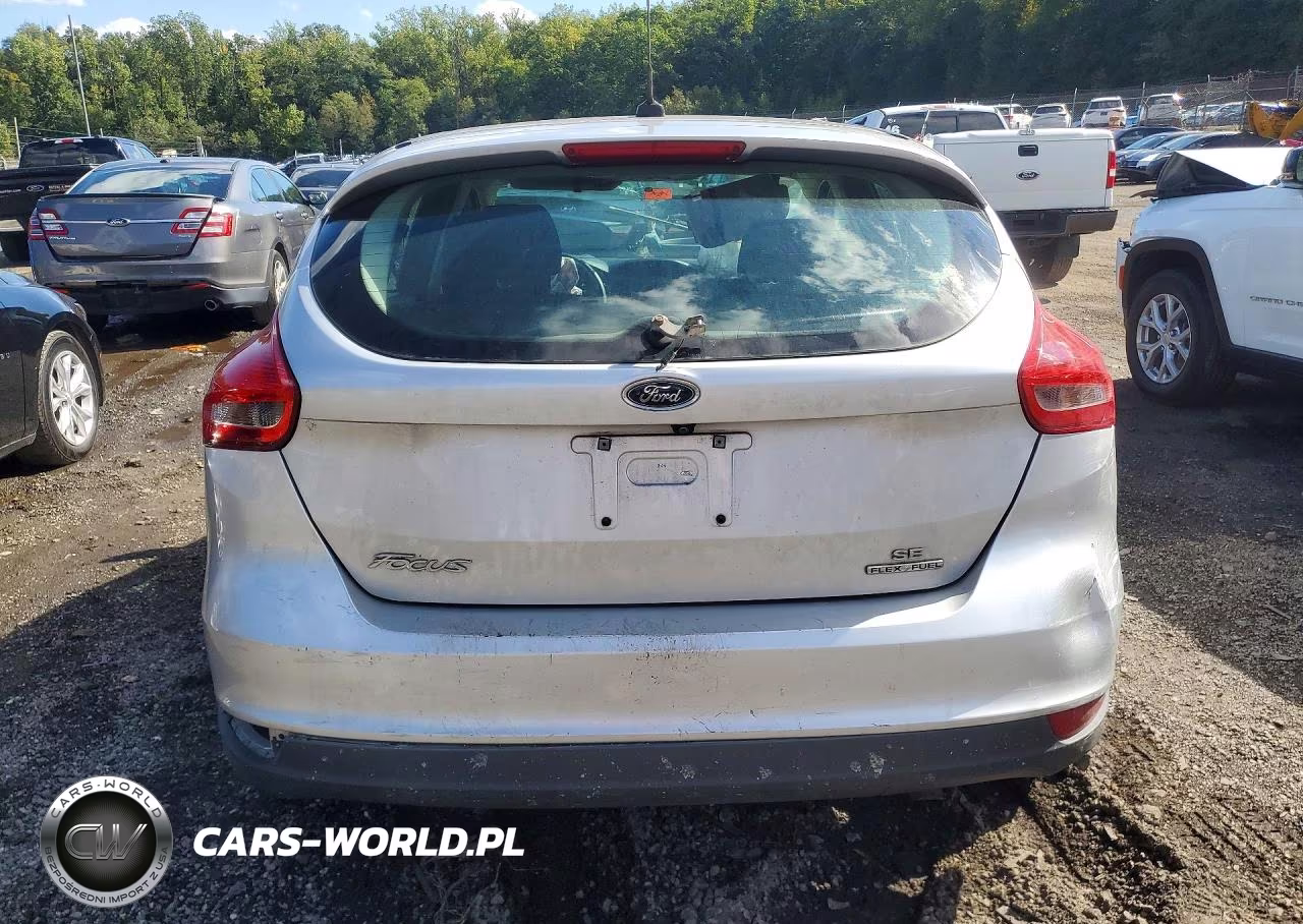 2016 Ford Focus Se VIN:1FADP3K28GL320291 - 6