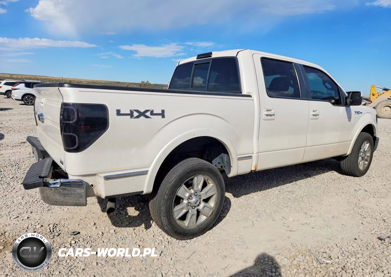 2010 Ford F150 Supercrew VIN:1FTFW1EVXAFC46653 - 3