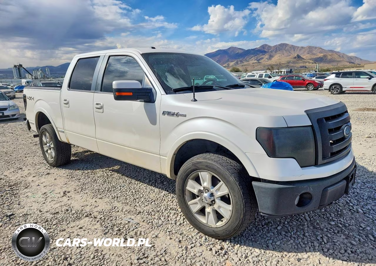 2010 Ford F150 Supercrew VIN:1FTFW1EVXAFC46653 - 4