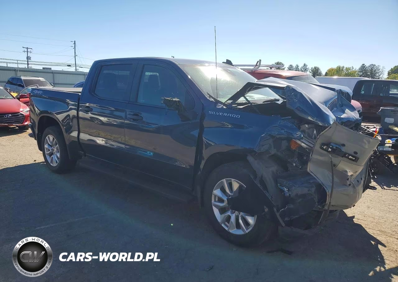 2021 Chevrolet Silverado K1500 Custom VIN:3GCPYBEK8MG421723 - 4