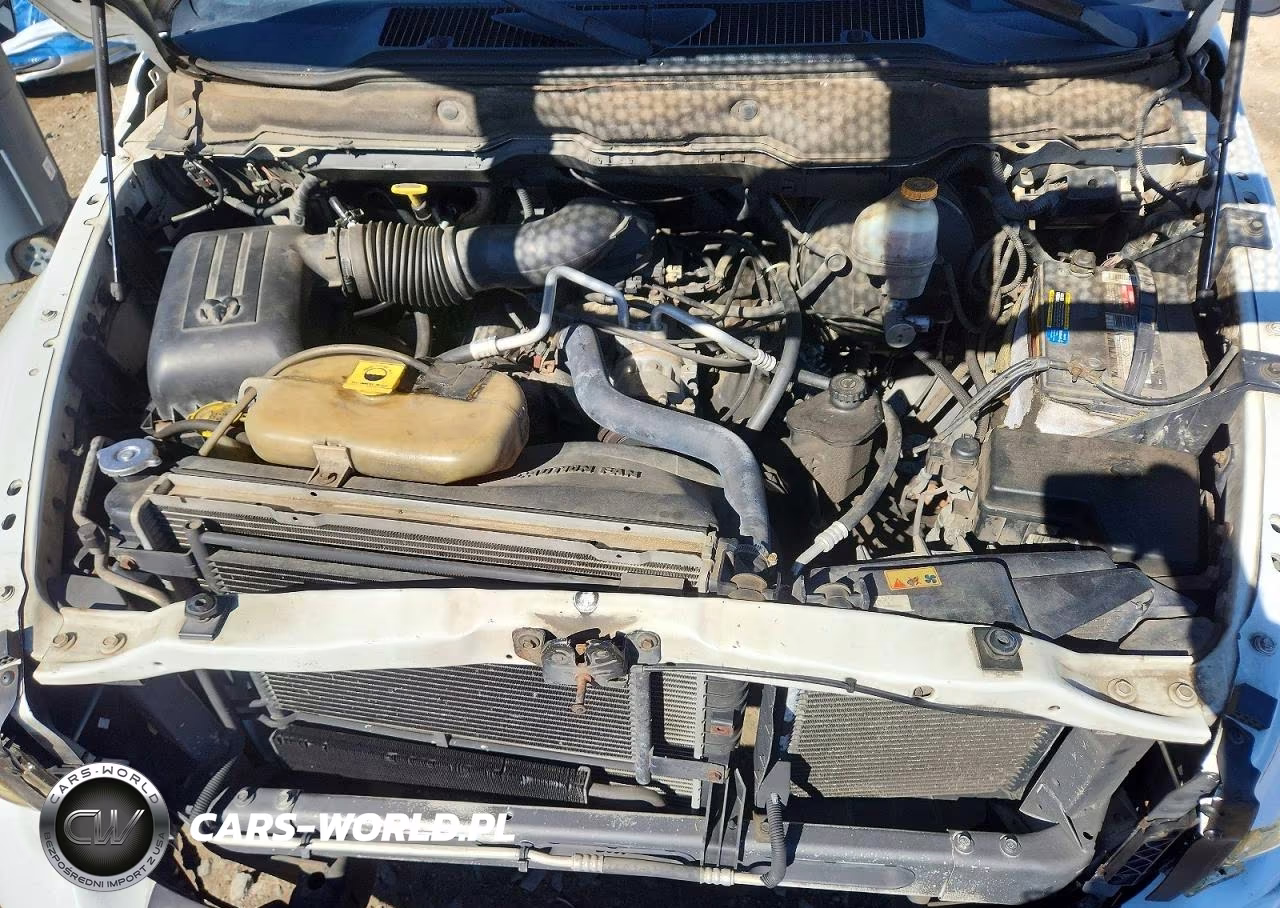 2002 Dodge Ram 1500 VIN:1D7HA18Z82S627115 - 11