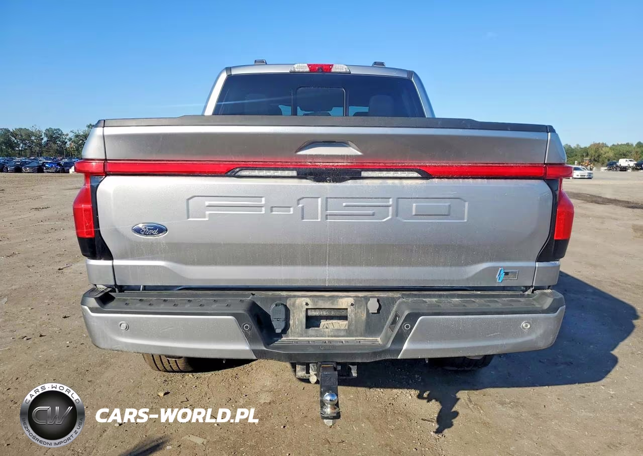 2023 Ford F150 Lightning Pro VIN:1FTVW1EV6PWG06523 - 6