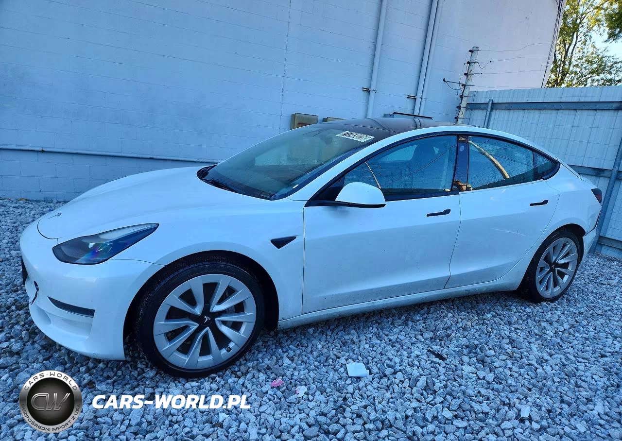 2023 Tesla Model 3 VIN:5YJ3E1EA6PF449281 - 1