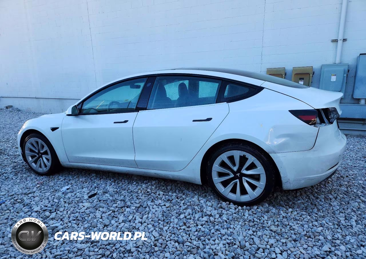 2023 Tesla Model 3 VIN:5YJ3E1EA6PF449281 - 2