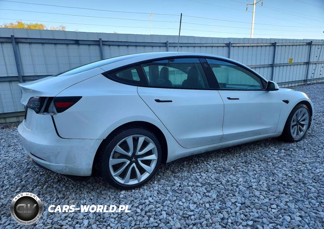 2023 Tesla Model 3 VIN:5YJ3E1EA6PF449281 - 3