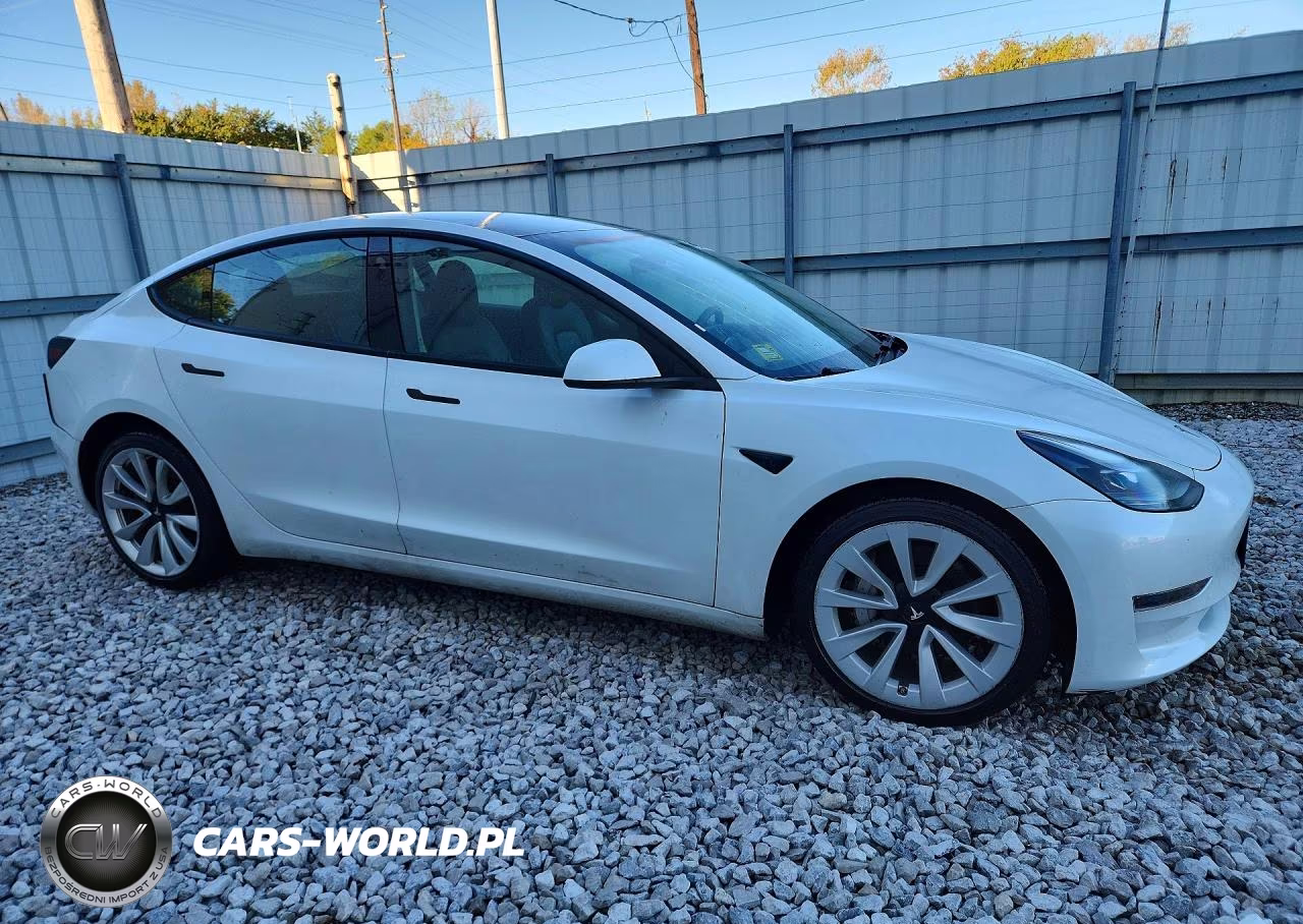 2023 Tesla Model 3 VIN:5YJ3E1EA6PF449281 - 4