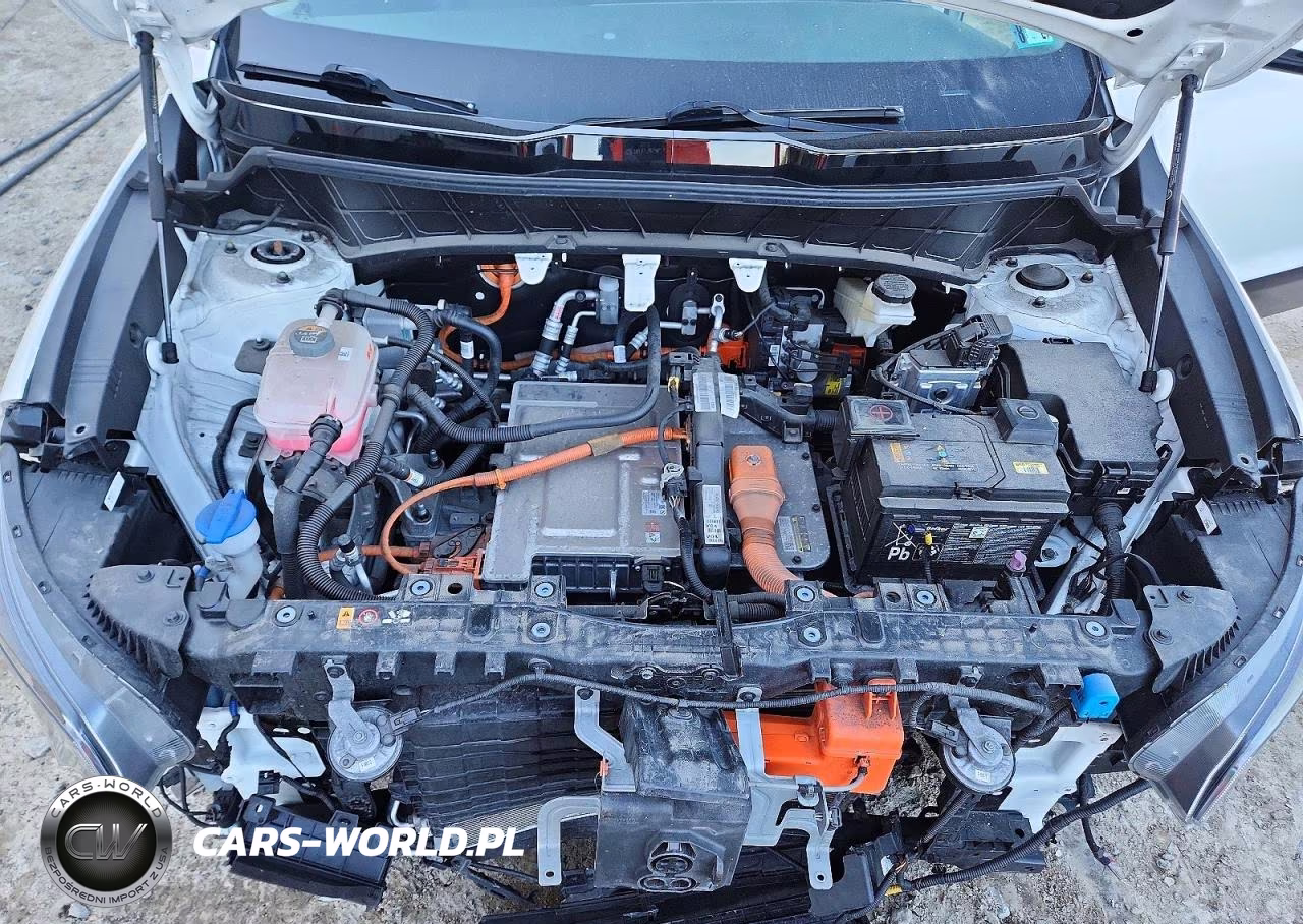 2024 Kia Niro Wind VIN:KNDCR3L19R5122459 - 12
