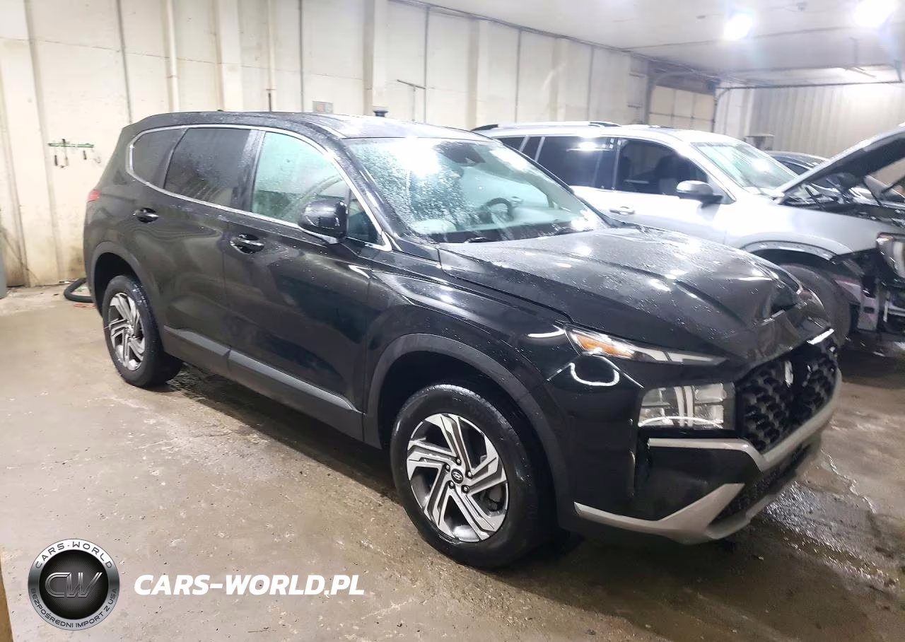 2022 Hyundai Santa Fe Se VIN:5NMS1DAJ2NH413775 - 4