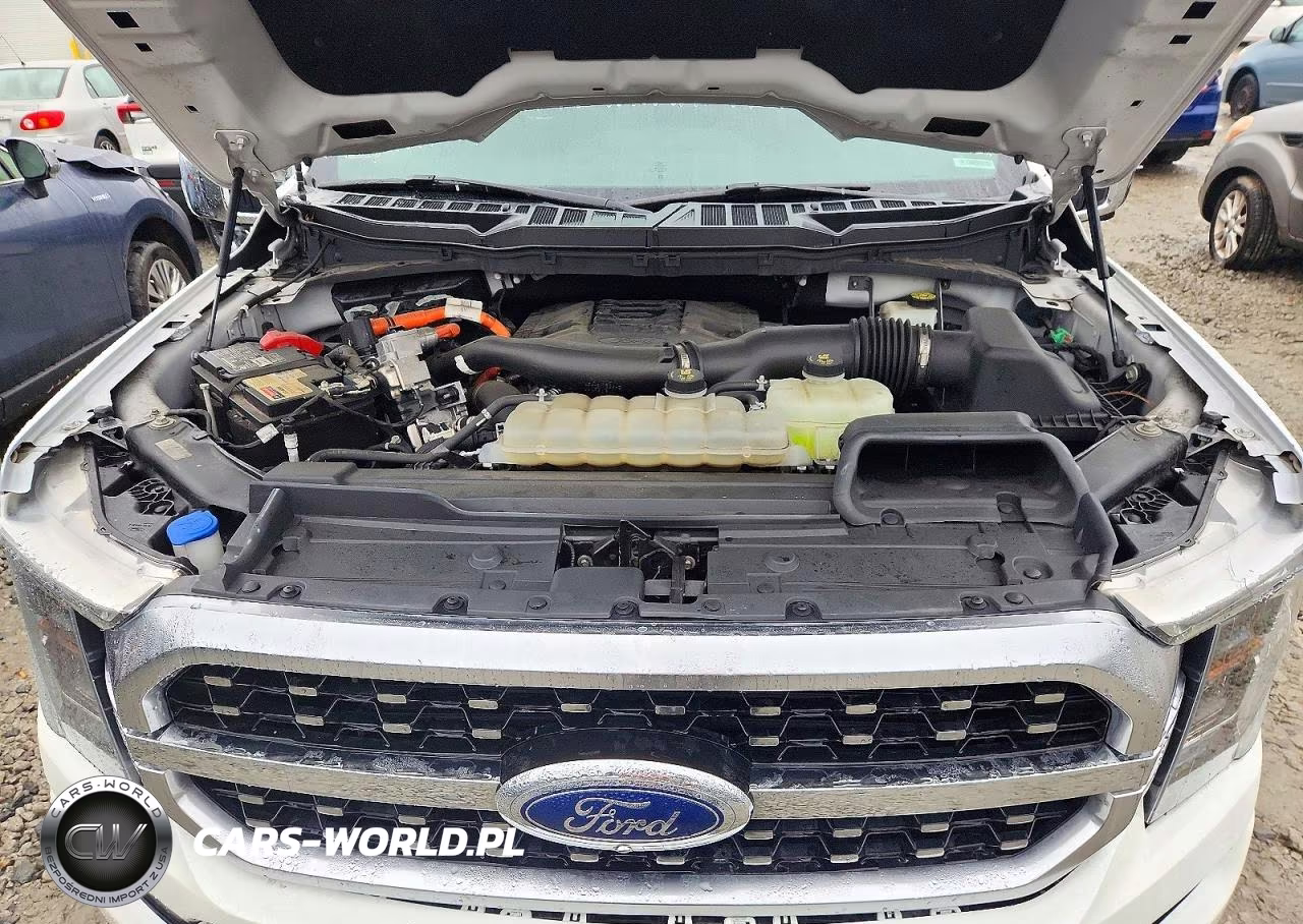 2021 Ford F150 Supercrew VIN:1FTFW1ED0MFA65055 - 11