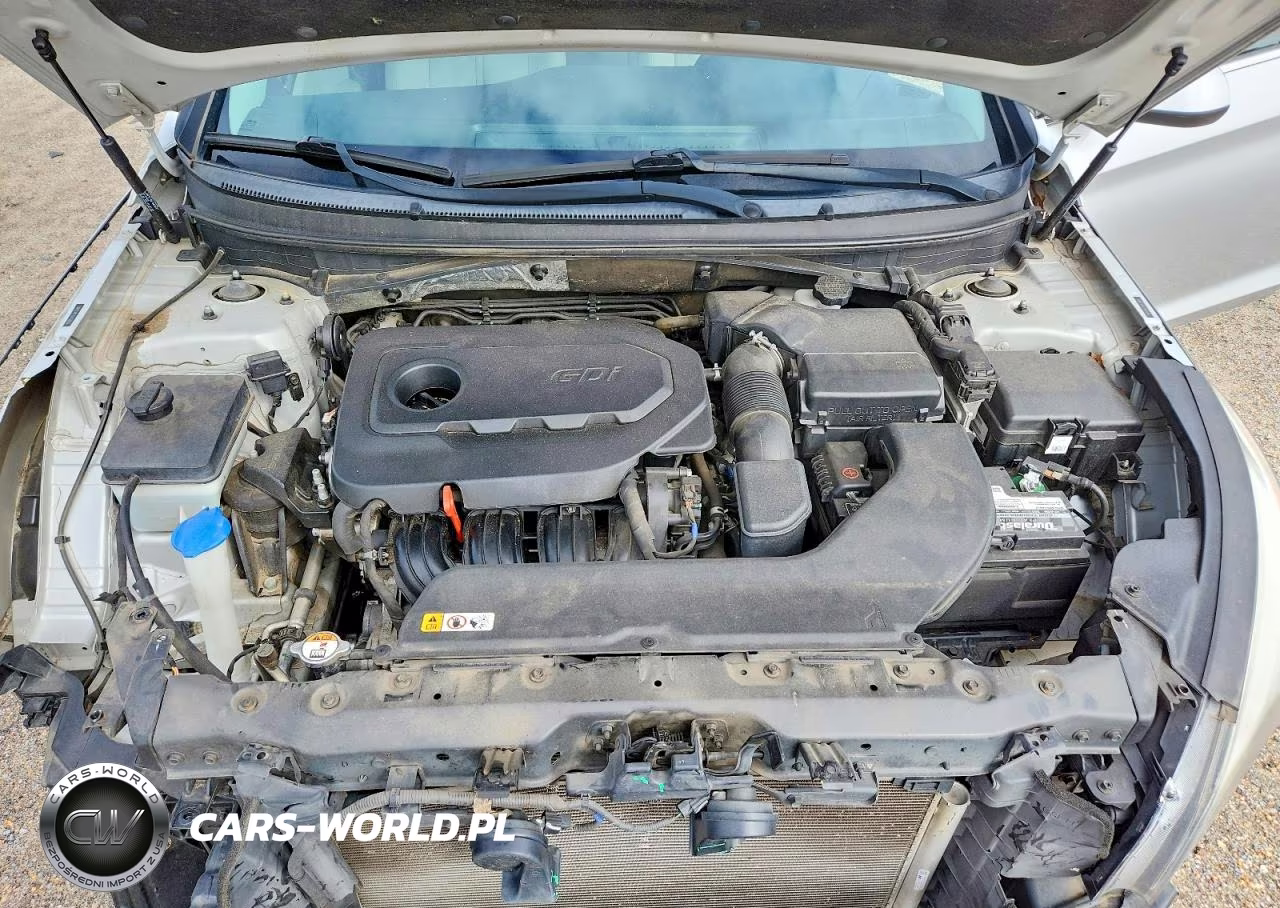 2016 Hyundai Sonata Se VIN:5NPE24AF7GH433905 - 11