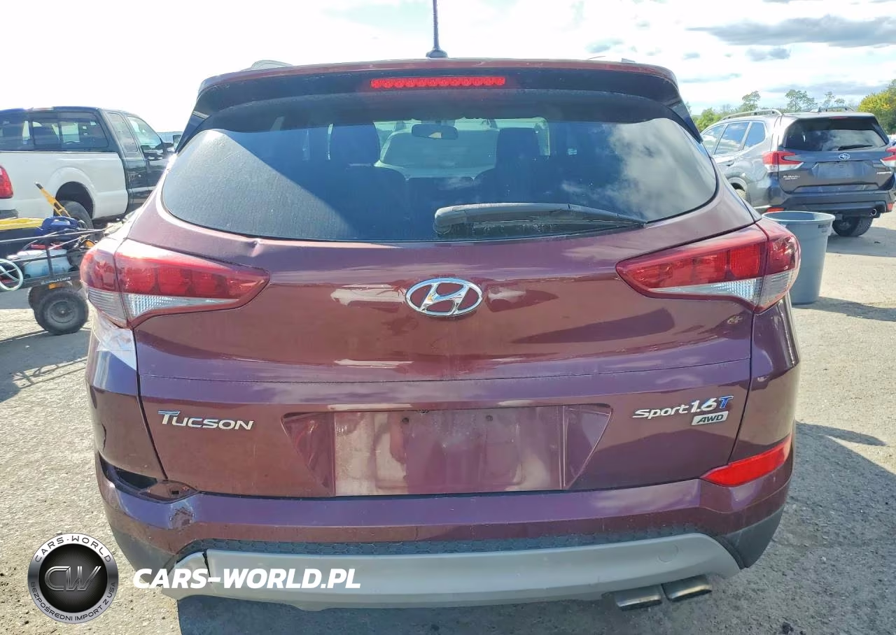 2017 Hyundai Tucson Sport VIN:KM8J3CA26HU433531 - 6