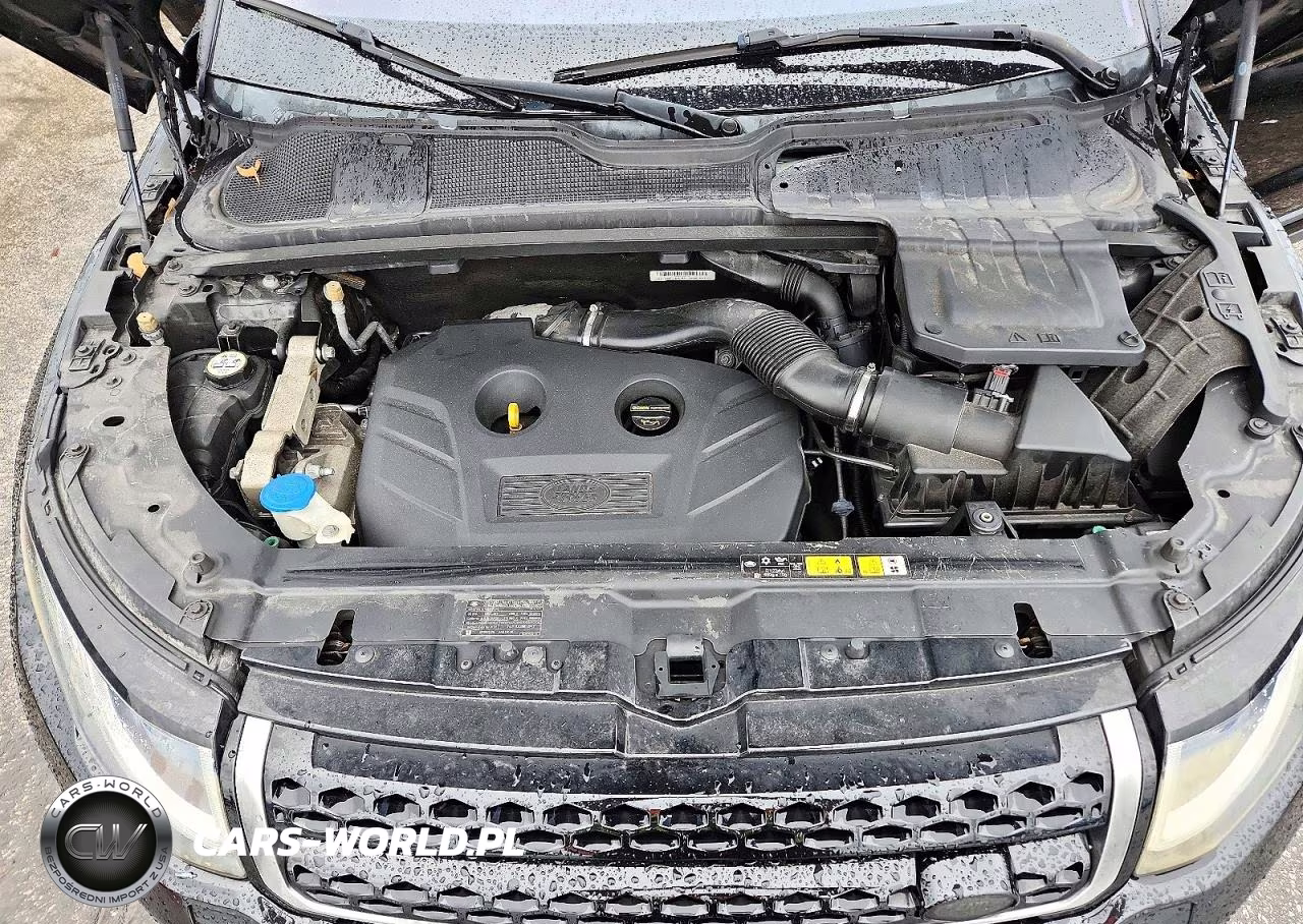 2016 Land Rover Range Rover Evoque Se VIN:SALVP2BG8GH123587 - 12