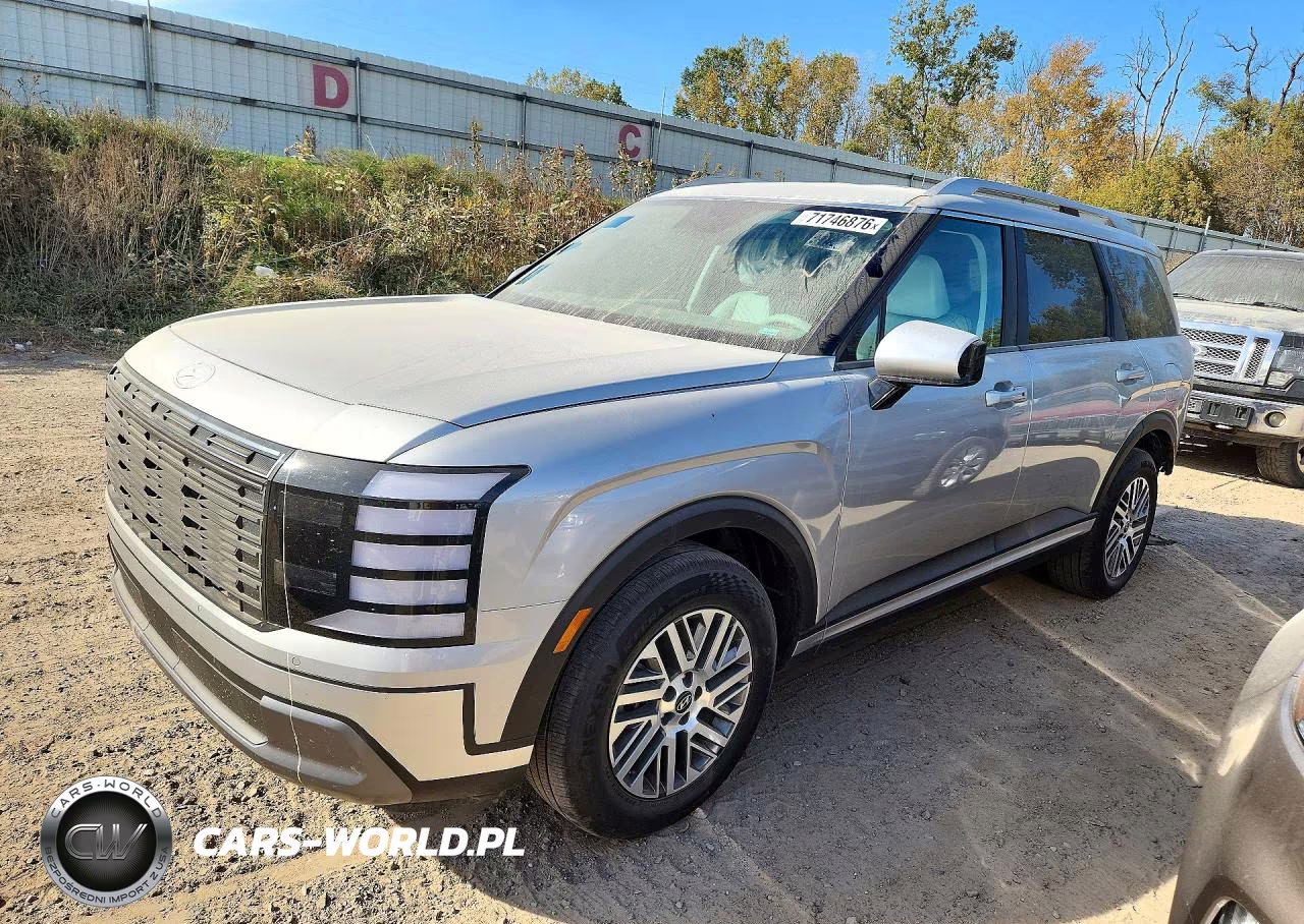 2026 Hyundai Palisade Sel VIN:KM8RLES26TU099166 - 1