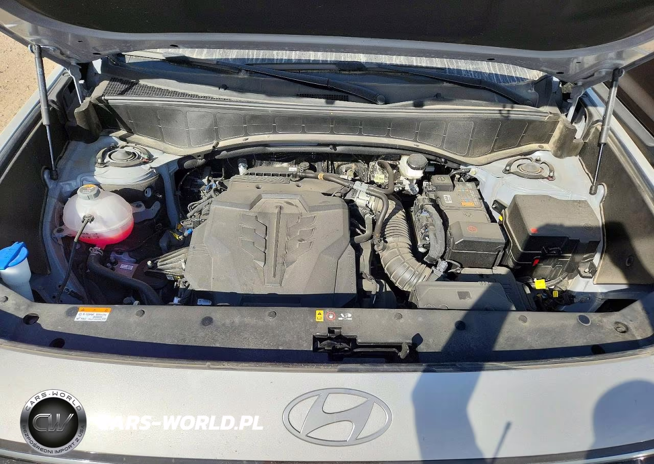 2026 Hyundai Palisade Sel VIN:KM8RLES26TU099166 - 12