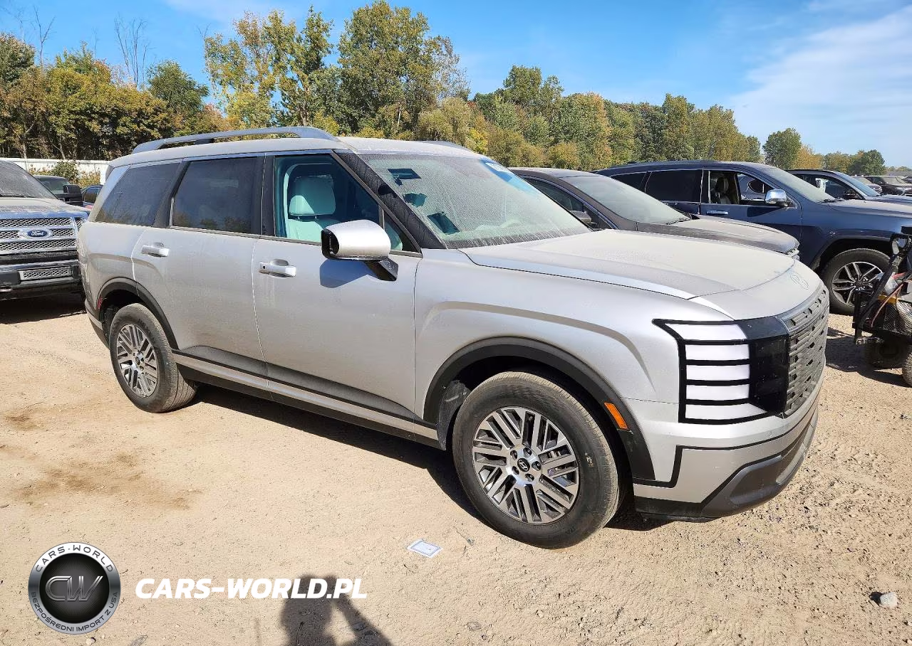 2026 Hyundai Palisade Sel VIN:KM8RLES26TU099166 - 4