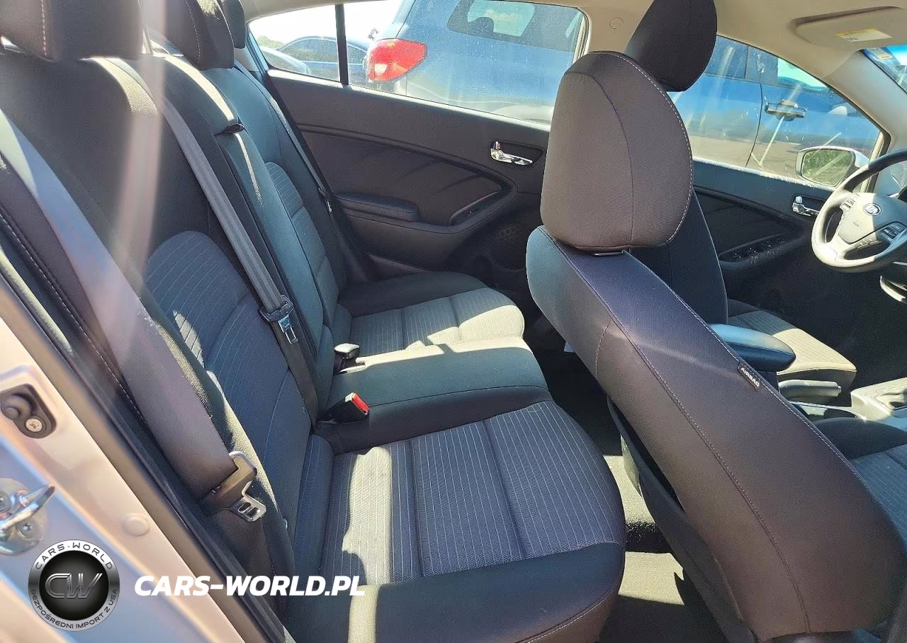 2015 Kia Forte Lx VIN:KNAFX4A65F5384530 - 10