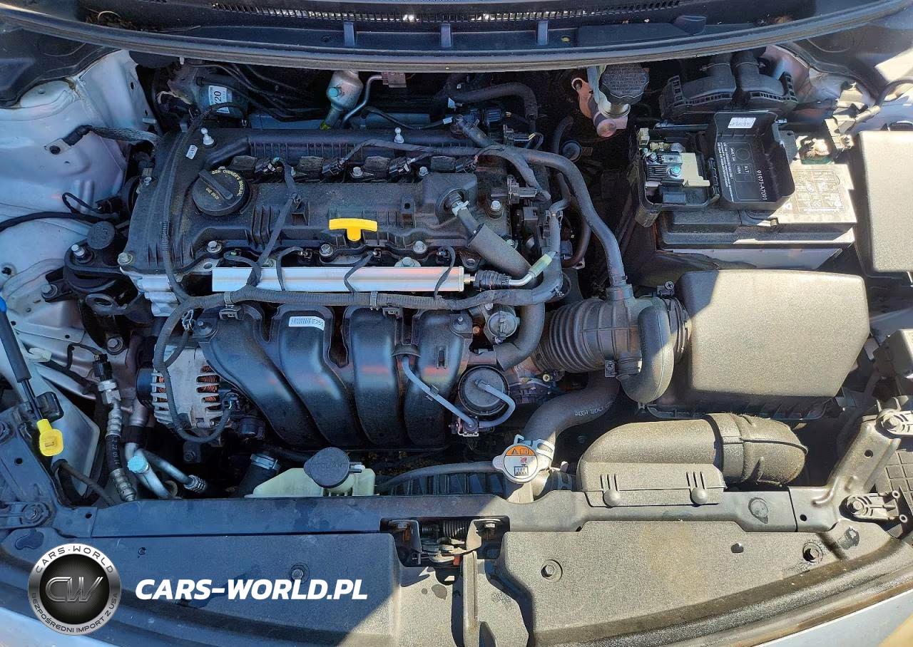 2015 Kia Forte Lx VIN:KNAFX4A65F5384530 - 11