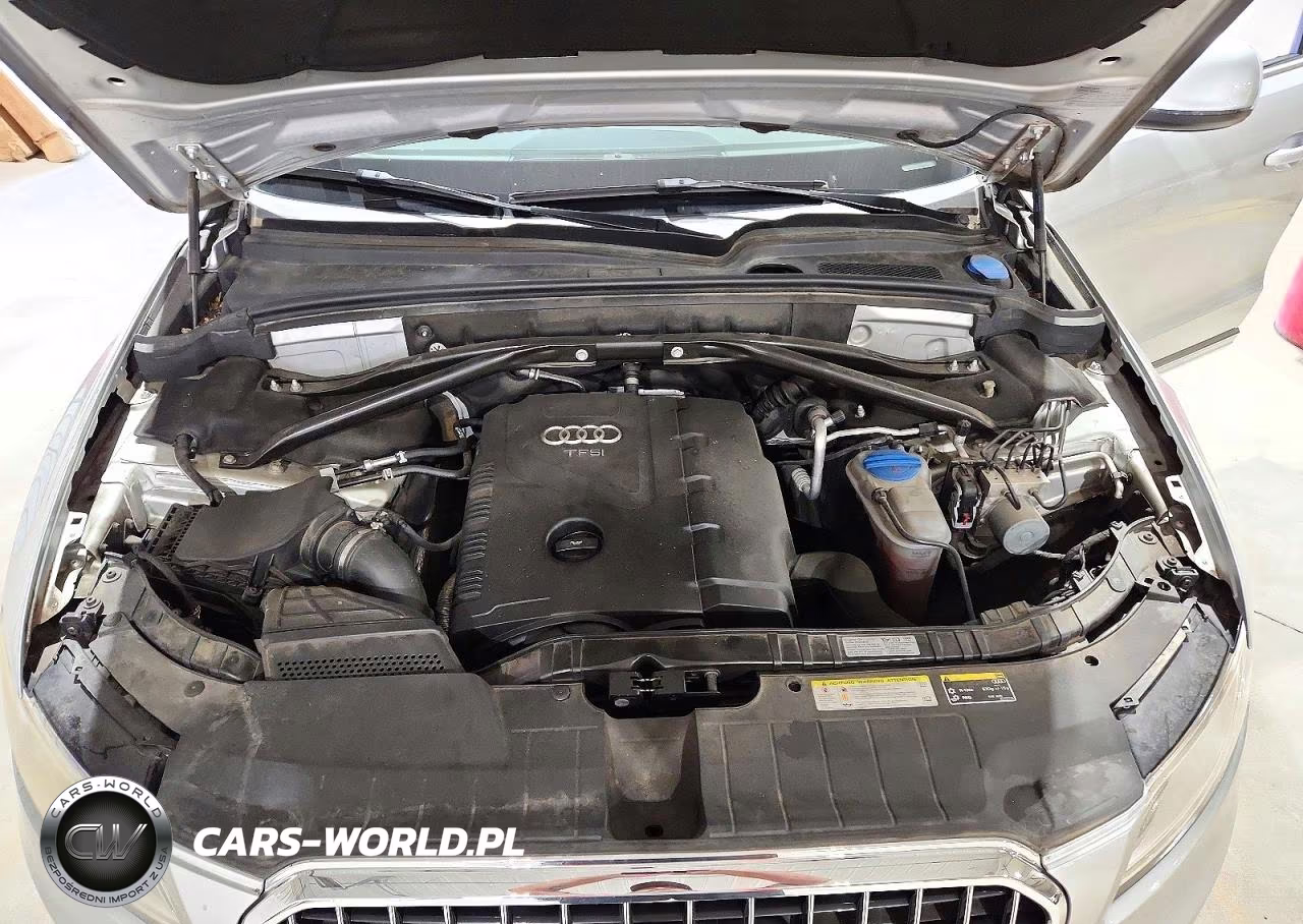 2013 Audi Q5 Premium Plus VIN:WA1LFAFP4DA003919 - 12