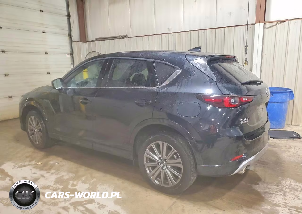 2025 Mazda Cx-5 Signature VIN:JM3KFBXY1S0638489 - 2