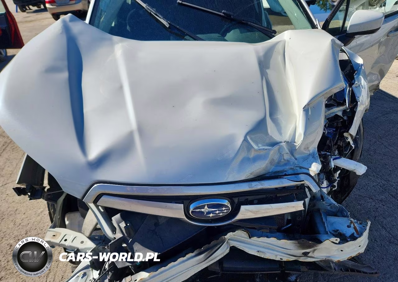 2019 Subaru Forester Premium VIN:JF2SKAGC9KH522575 - 12