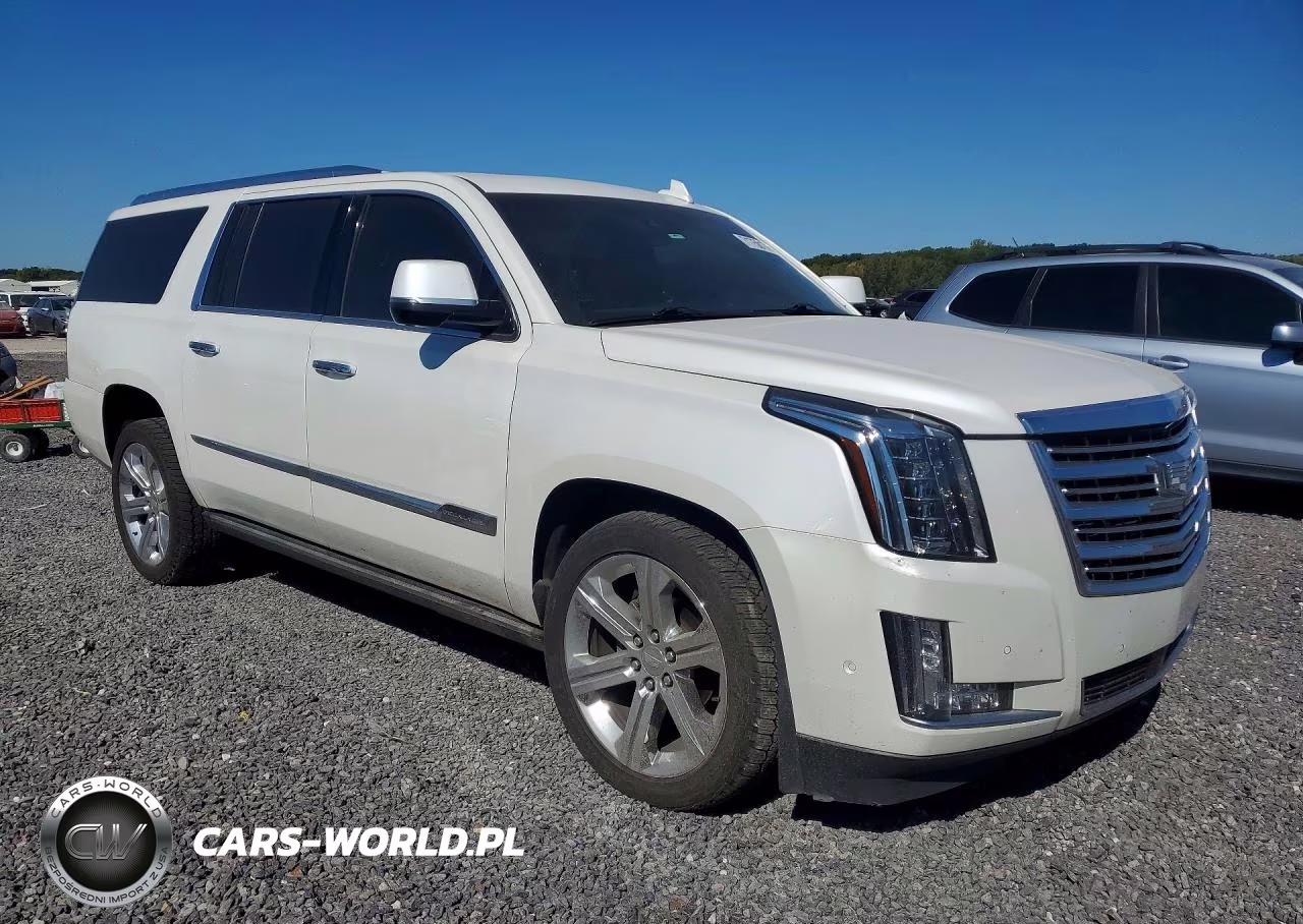 2017 Cadillac Escalade Esv Platinum VIN:1GYS4KKJ7HR289233 - 4