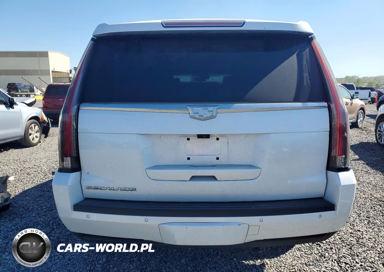 2017 Cadillac Escalade Esv Platinum VIN:1GYS4KKJ7HR289233 - 6