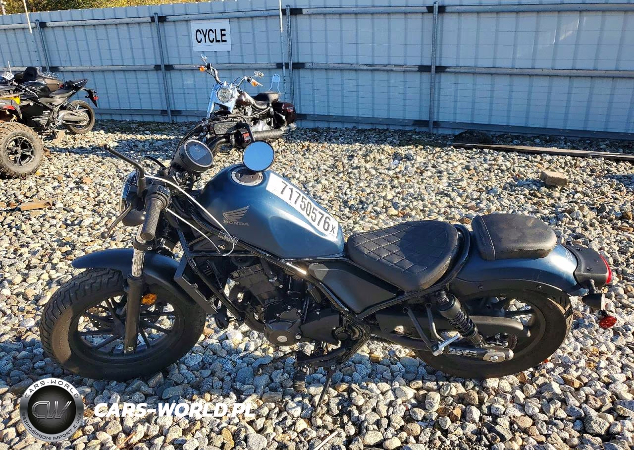 2020 Honda Cmx300 VIN:MLHNC5300L5300339 - 3