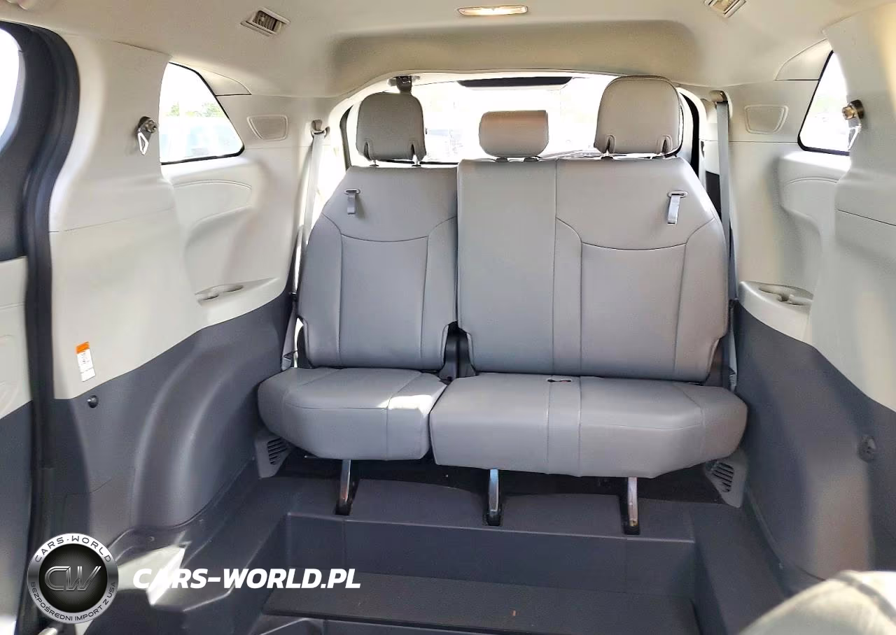 2023 Toyota Sienna Xle VIN:5TDJSKFC5PS084366 - 10