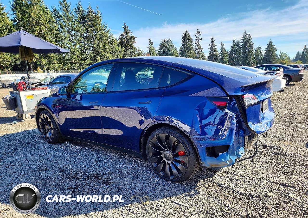 2022 Tesla Model Y VIN:7SAYGDEF3NF365867 - 2