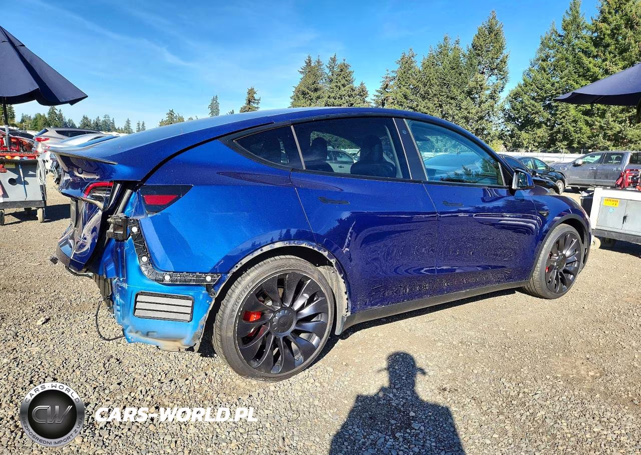 2022 Tesla Model Y VIN:7SAYGDEF3NF365867 - 3