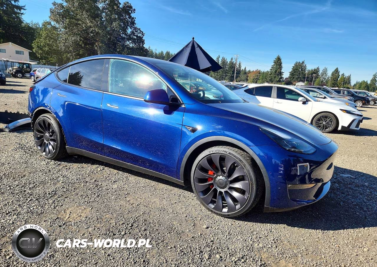 2022 Tesla Model Y VIN:7SAYGDEF3NF365867 - 4