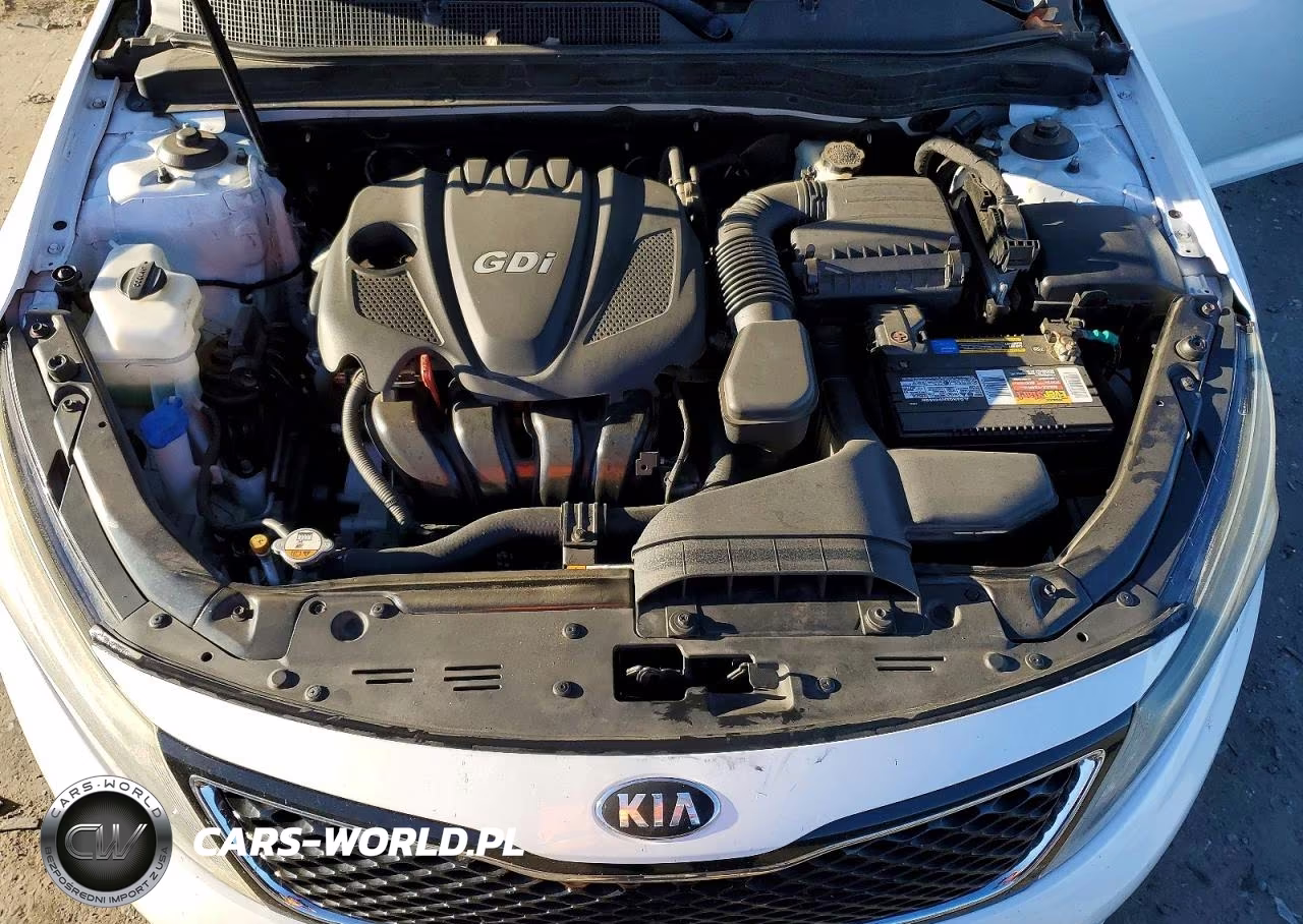 2014 Kia Optima Lx VIN:5XXGM4A73EG312437 - 11
