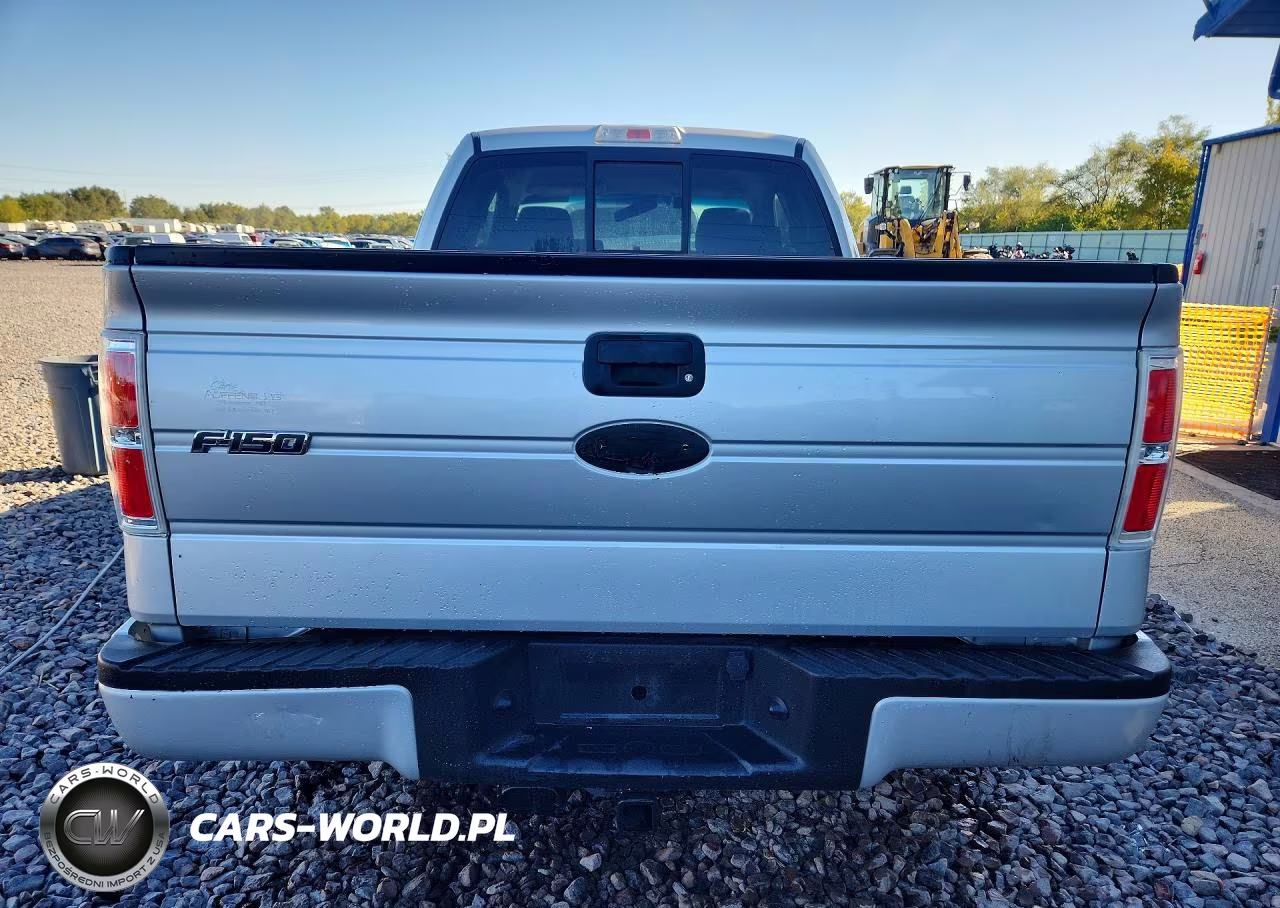 2009 Ford F150 Super Cab VIN:1FTRX12W49KC63328 - 6