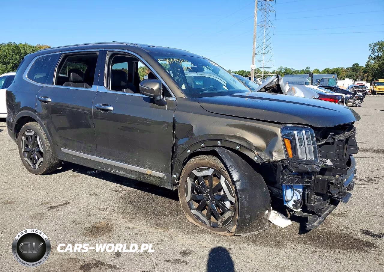 2025 Kia Telluride S VIN:5XYP64GC0SG691872 - 4
