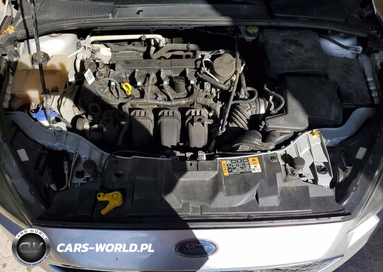 2016 Ford Focus Se VIN:1FADP3K20GL206057 - 11
