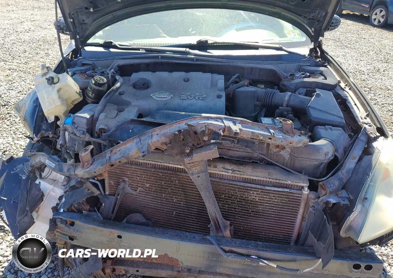 2003 Nissan Altima 2.5 VIN:1N4AL11D13C257812 - 11