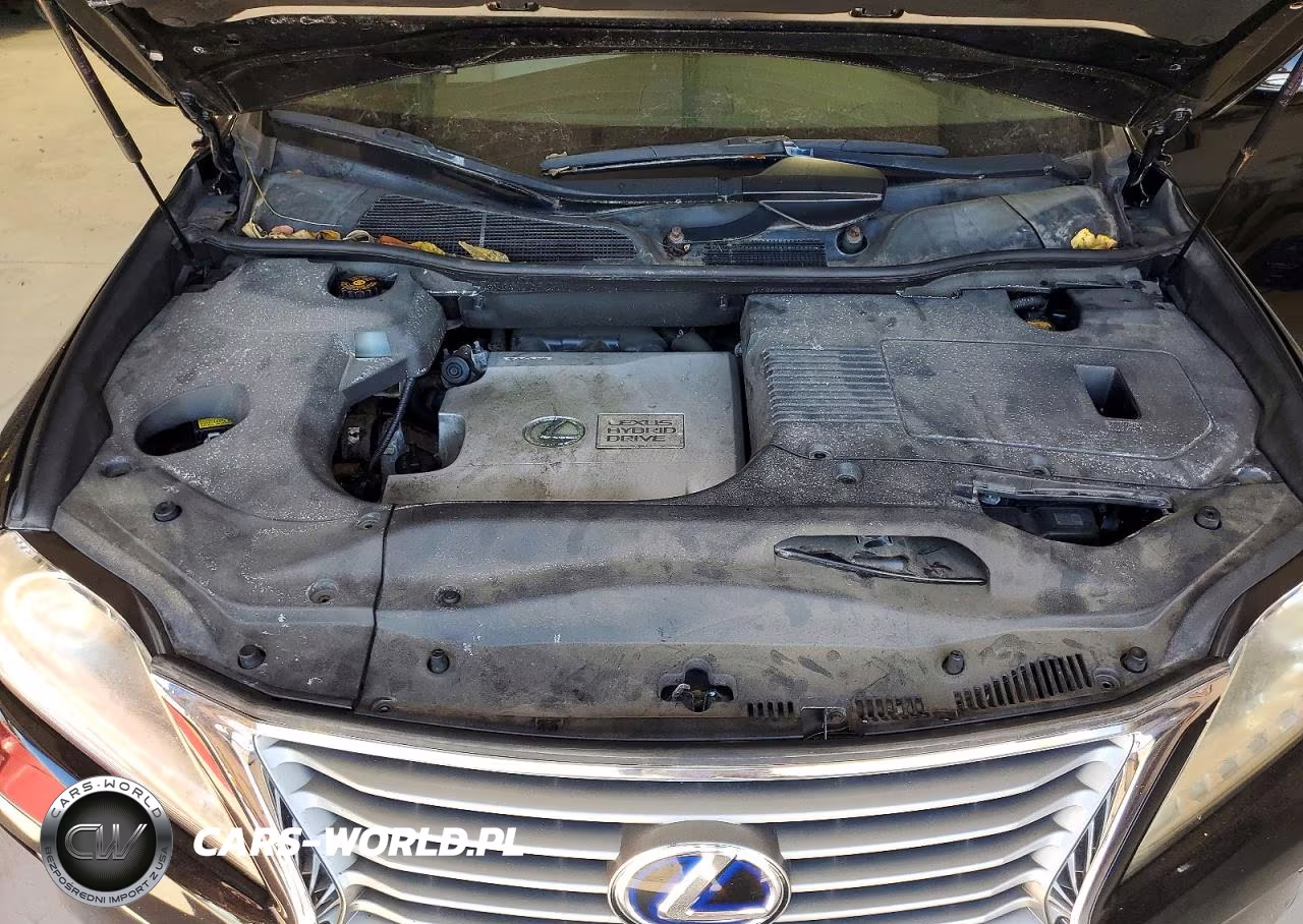 2013 Lexus Rx 450H VIN:JTJBC1BA2D2064026 - 12