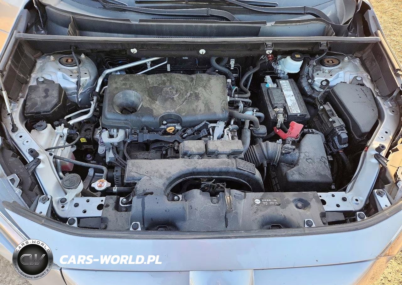 2019 Toyota Rav4 Xle VIN:2T3P1RFV4KW052006 - 11