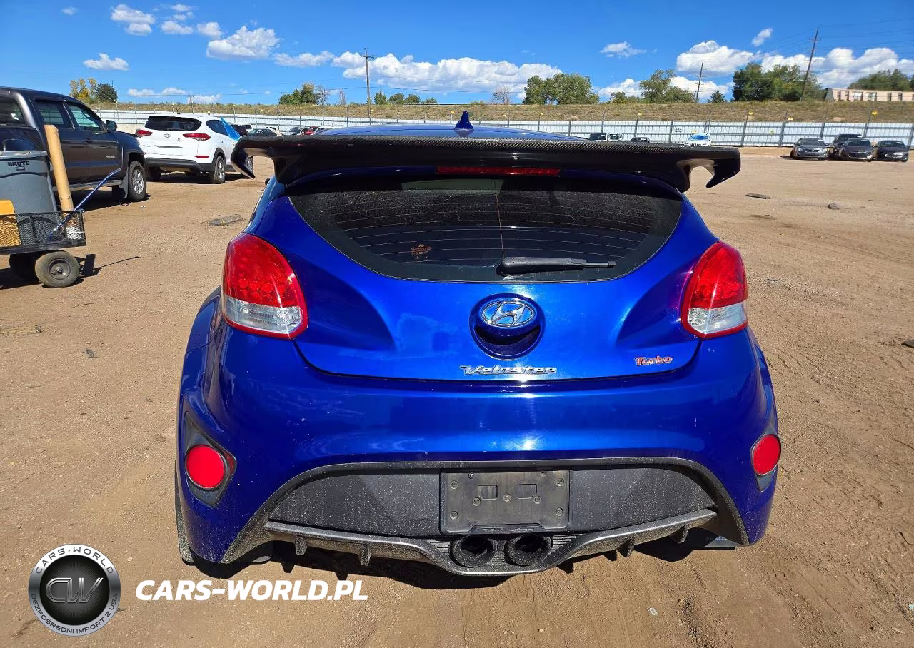 2013 Hyundai Veloster Turbo VIN:KMHTC6AE9DU145503 - 6