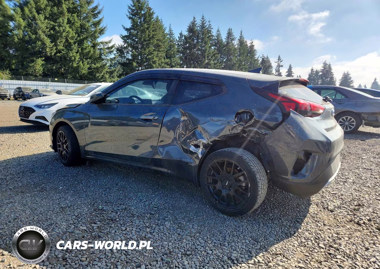 2019 Hyundai Veloster 2.0L VIN:KMHTG6AF9KU014422 - 2